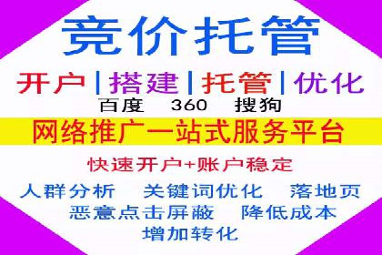 百度优化推广案例剖析：某电商平台的成功之路